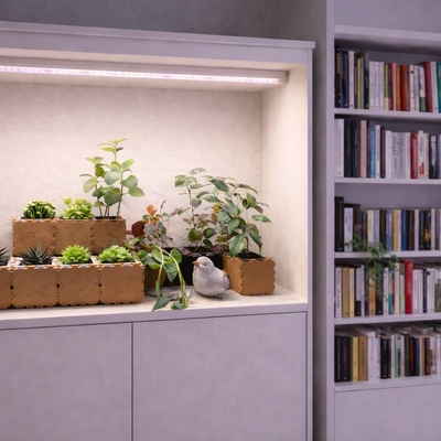 Mini ogrody - Gallery